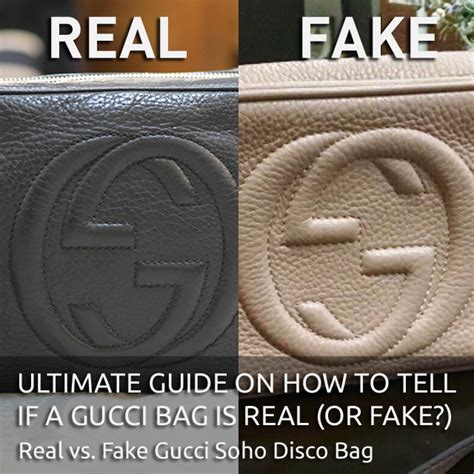 gucci vs coach handbags.